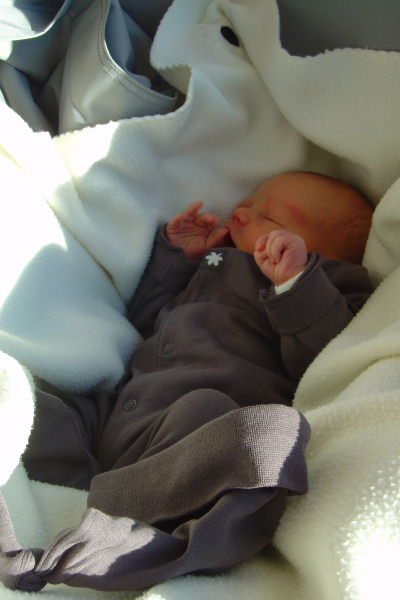 Image 19 of 56  -  37 kB